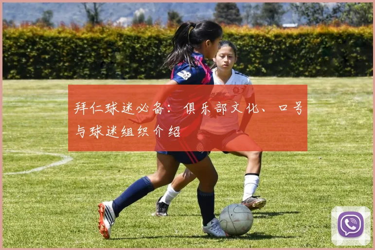拜仁球迷必备：俱乐部文化、口号与球迷组织介绍